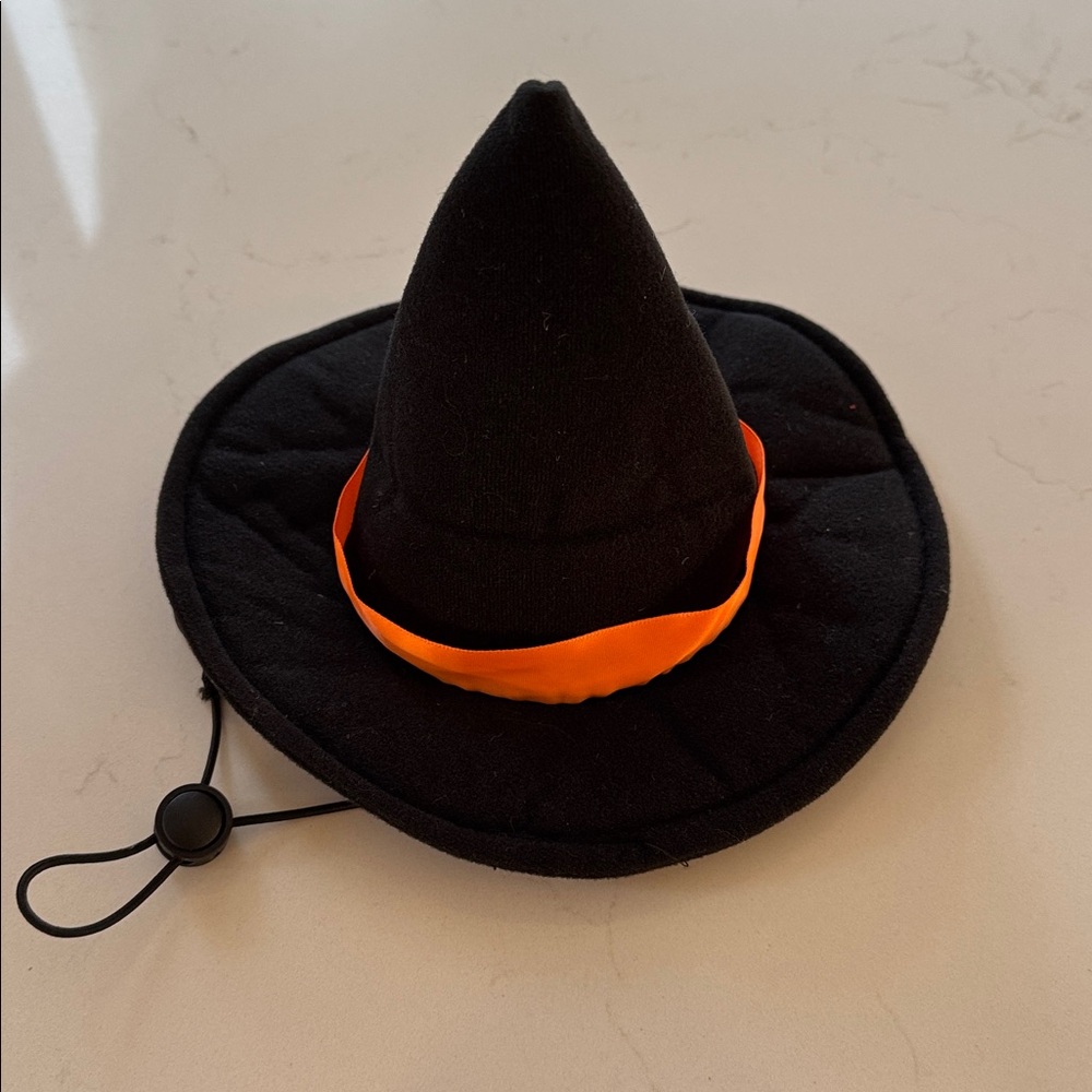 Skull & Bones Halloween Witch Costume for Dog - Black and Orange *New - Picture 3 of 5